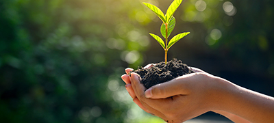 Sustentabilidade na Construção Civil